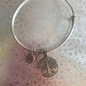 Alex and Ani